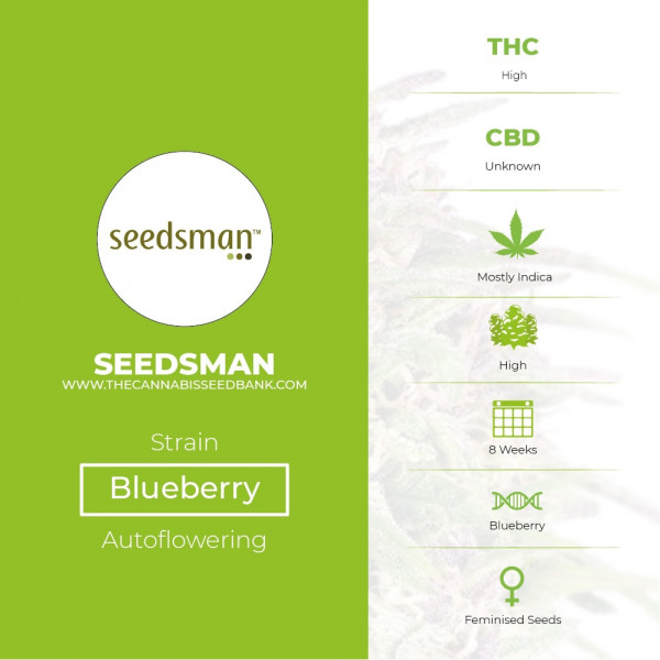 Blueberry Feminised Seedsman - Characteristics
