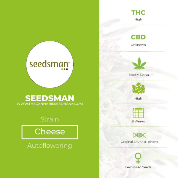 Cheese Feminised Seedsman - Characteristics