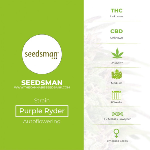 Purple Ryder Autoflowering Feminised Seedsman - Characteristics