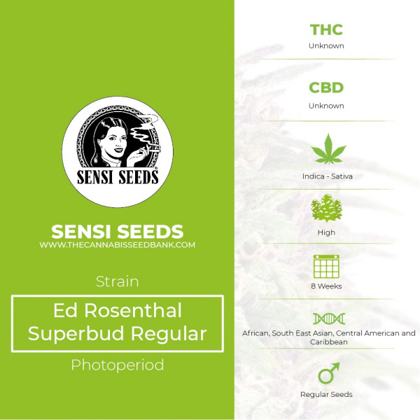 Ed Rosenthal Superbud Regular - Sensi Seeds - Characteristics