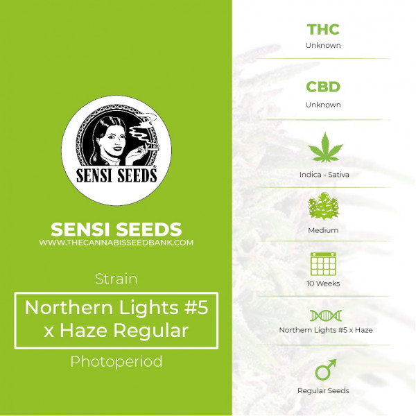 Northern Lights #5 x Haze Regular - Sensi Seeds - Characteristics