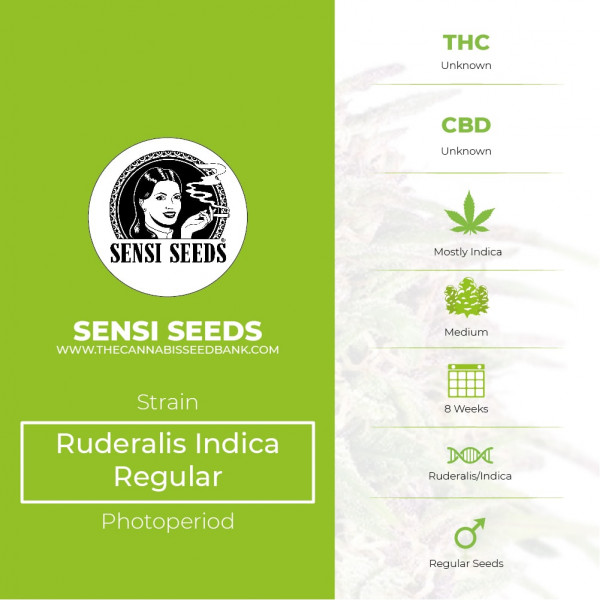 Ruderalis Indica Regular - Sensi Seeds - Characteristics