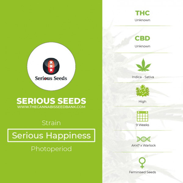 Serious - Happiness - Feminised - Serious Seeds - Characteristics
