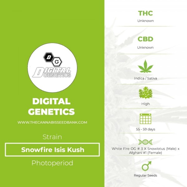 Snowfire Isis Kush Regular (Digital Genetics) - The Cannabis Seedbank