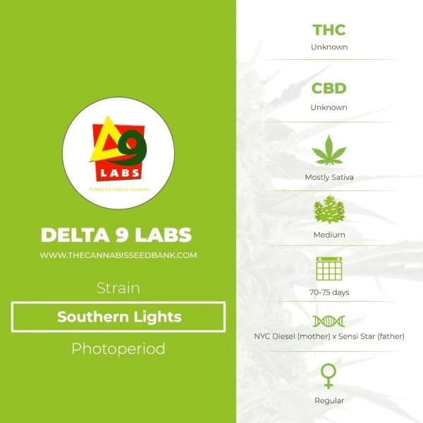 Southern Lights Regular (Delta 9 Labs) - The Cannabis Seedbank