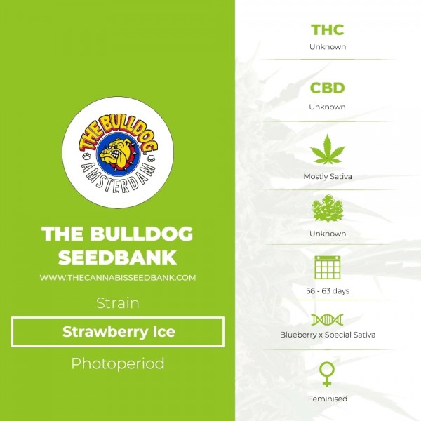 Strawberry Ice (The Bulldog Seedbank) - The Cannabis Seedbank