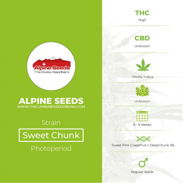 Sweet Chunk Regular - Alpine Seeds - Characteristics