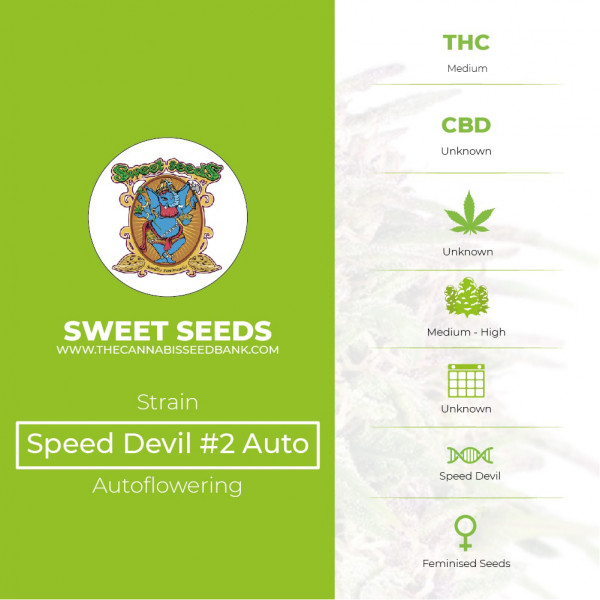 Big Devil #2 Auto Feminised Sweet Seeds - Characteristics