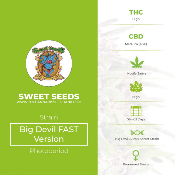 Big Devil FAST Version Feminised Sweet Seeds - Characteristics