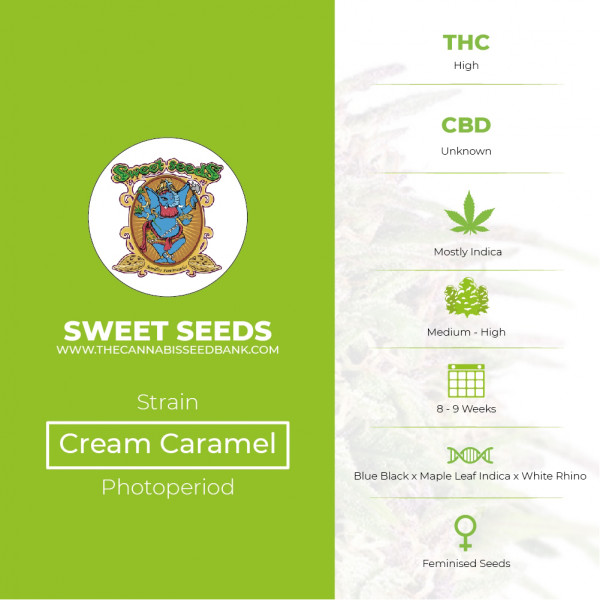 Cream Caramel Feminised Sweet Seeds - Characteristics
