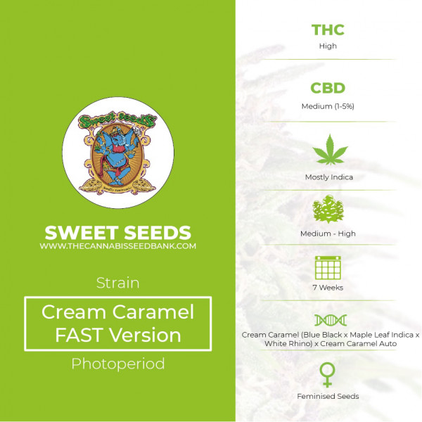 Cream Caramel FAST Version Feminised Sweet Seeds - Characteristics