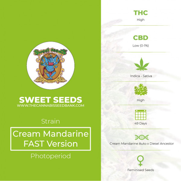 Cream Mandarine FAST Version Feminised Sweet Seeds - Characteristics