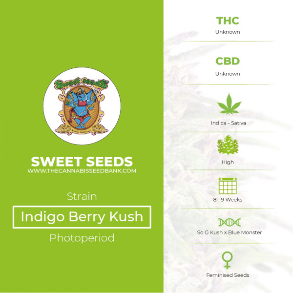 Indigo Berry Kush Feminised Sweet Seeds - Characteristics