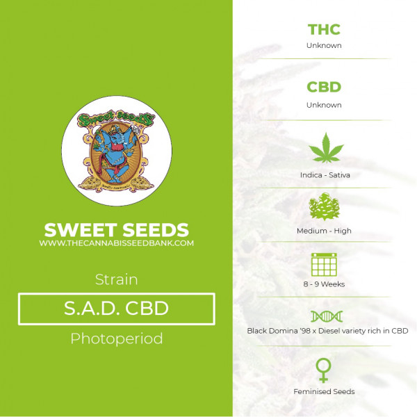 S.A.D. CBD Feminised Sweet Seeds - Characteristics