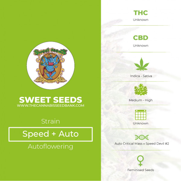 Speed + Autoflowering Sweet Seeds - Characteristics
