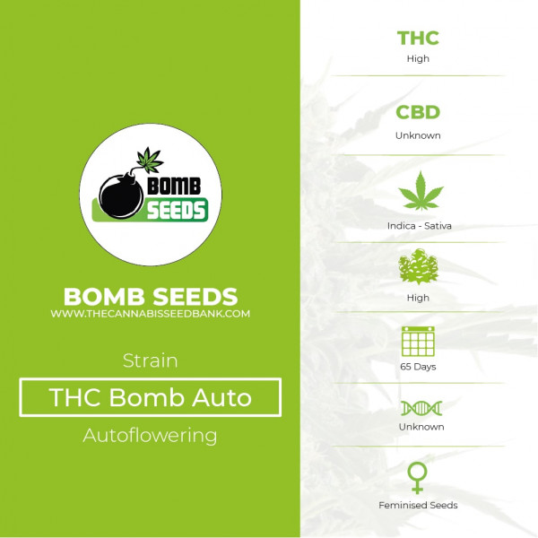 THC Bomb Auto - Bomb Seeds - Characteristics