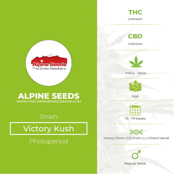 Victory Kush Regular - Alpine Seeds - Characteristics